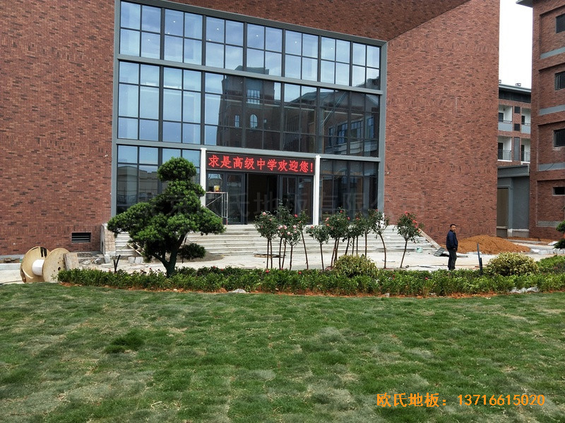 �������Ǹ��л@���^�\(y��n)��(d��ng)ľ�ذ���O(sh��)����0