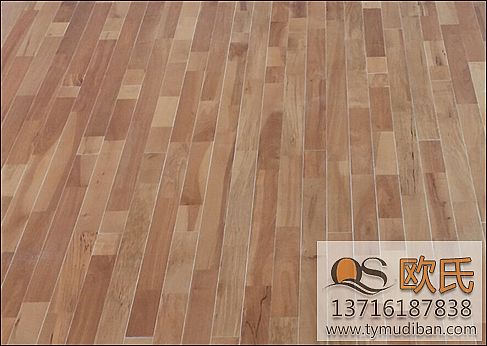 運(yùn)動(dòng)木地板 運(yùn)動(dòng)木地板