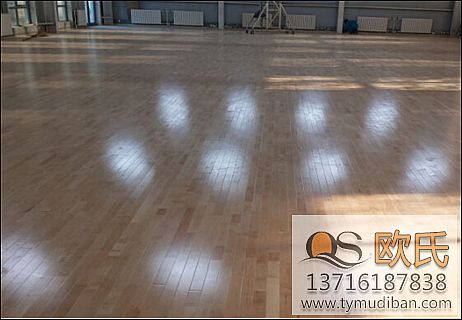 運(yùn)動(dòng)木地板 運(yùn)動(dòng)木地板