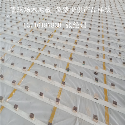 ɽ�|�@��ľ�\�ӵذ�,ɽ�|�w���^�\�ӵذ�,ɽ�|�@���w��ľ�ذ�