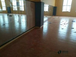 ���e(cu��)�w������ľ�ذ�S�҈�(b��o)�r(ji��)