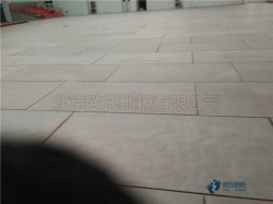 �������w����(ch��ng)�^ľ�ذ��坍���B(y��ng)