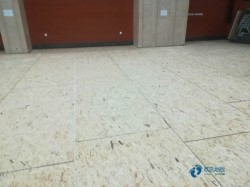 ��ľ���_�\(y��n)���w���ذ�ʲô���Ӻ�